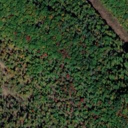Satellite imagery of Harrison Ridge, US