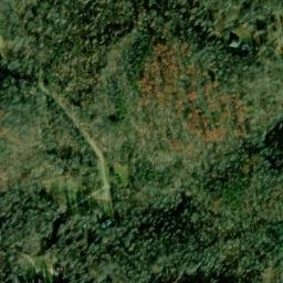 Satellite imagery of Piney Spur, US