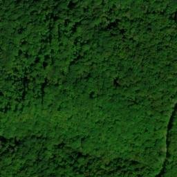 Satellite imagery of Daves Ridge, US