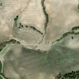 Satellite imagery of survey_point, DZ