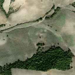 Satellite imagery of survey_point, DZ