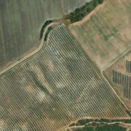 Satellite imagery of survey_point, DZ