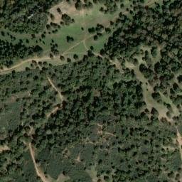 Satellite imagery of survey_point, DZ