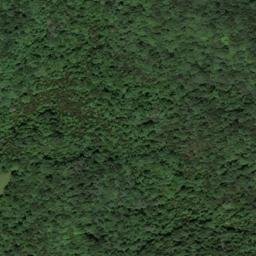 Satellite imagery of Pruitt Ridge, US