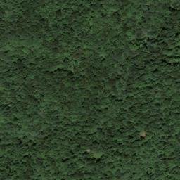 Satellite imagery of Pruitt Ridge, US