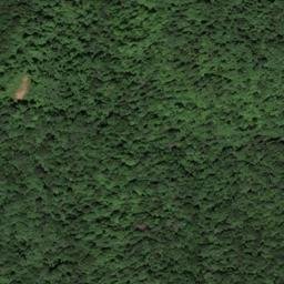 Satellite imagery of Pruitt Ridge, US
