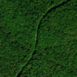 Satellite imagery of Daves Ridge, US