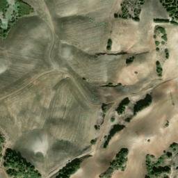Satellite imagery of survey_point, DZ