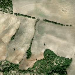 Satellite imagery of survey_point, DZ