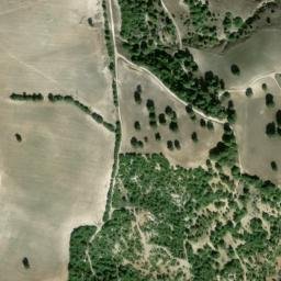Satellite imagery of survey_point, DZ
