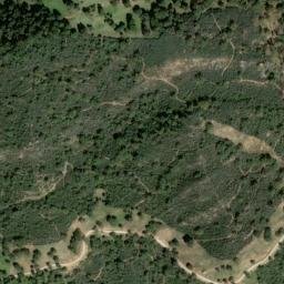 Satellite imagery of survey_point, DZ