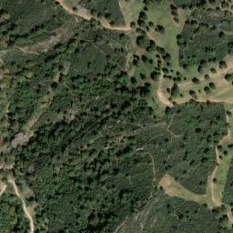 Satellite imagery of survey_point, DZ