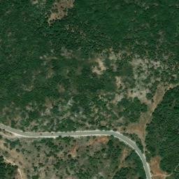 Satellite imagery of survey_point, DZ