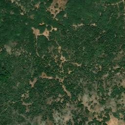 Satellite imagery of survey_point, DZ