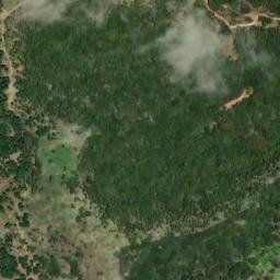 Satellite imagery of survey_point, DZ