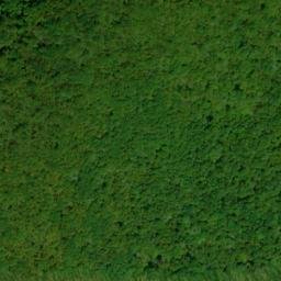 Satellite imagery of Elk Garden Ridge, US