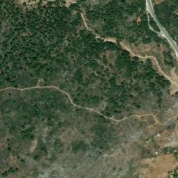 Satellite imagery of survey_point, DZ