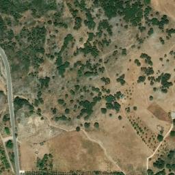 Satellite imagery of survey_point, DZ