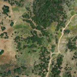 Satellite imagery of survey_point, DZ