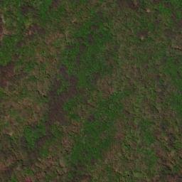 Satellite imagery of Gomochigwangsan, KR