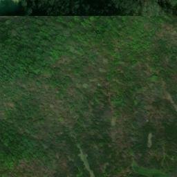 Satellite imagery of Cove Ridge, US