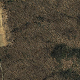 Satellite imagery of Squirrel Spur, US
