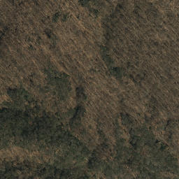 Satellite imagery of Squirrel Spur, US