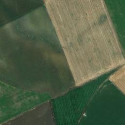 Satellite imagery of survey_point, DZ