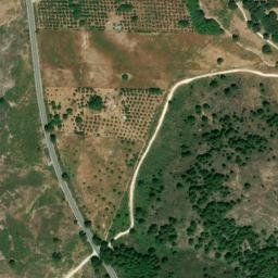 Satellite imagery of survey_point, DZ