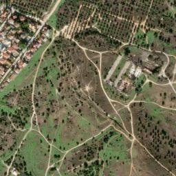 Satellite imagery of survey_point, DZ