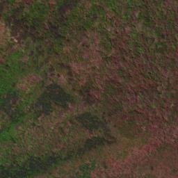 Satellite imagery of Gomochigwangsan, KR