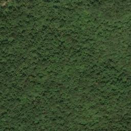 Satellite imagery of Little Cliff, US