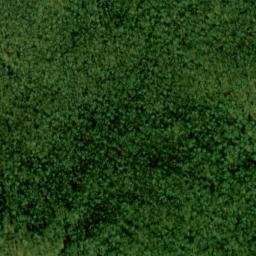 Satellite imagery of Wilburn Ridge, US