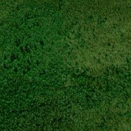 Satellite imagery of Bearpen Ridge, US