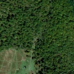 Satellite imagery of Long Spur, US