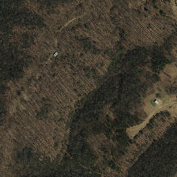 Satellite imagery of Squirrel Spur, US
