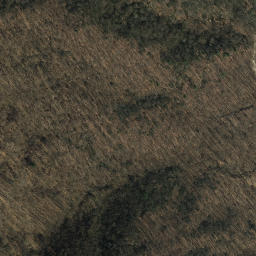 Satellite imagery of Squirrel Spur, US