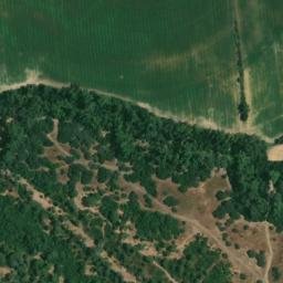 Satellite imagery of survey_point, DZ