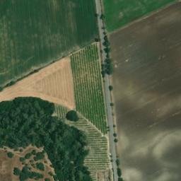 Satellite imagery of survey_point, DZ