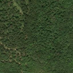 Satellite imagery of Little Cliff, US