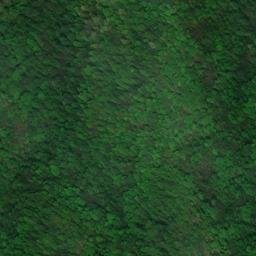 Satellite imagery of Callahan Spur, US