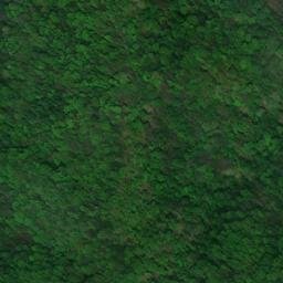 Satellite imagery of Callahan Spur, US