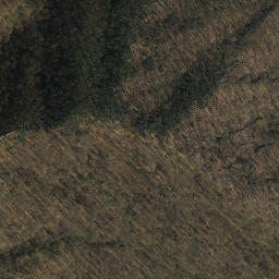 Satellite imagery of Squirrel Spur, US