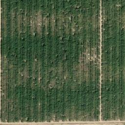 Satellite imagery of C 1039 — NGS GT1520 — Fresno County, US, US