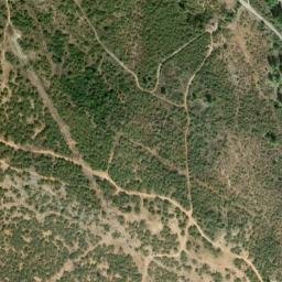 Satellite imagery of survey_point, DZ