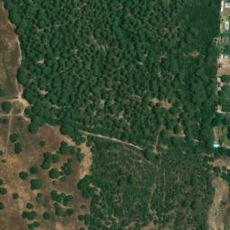 Satellite imagery of survey_point, DZ
