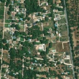 Satellite imagery of survey_point, DZ
