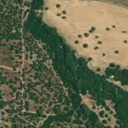 Satellite imagery of survey_point, DZ