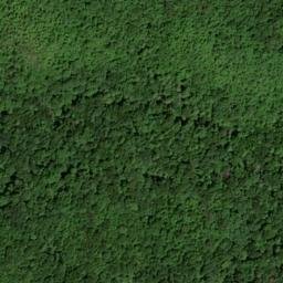 Satellite imagery of Bear Creek Overlook, US