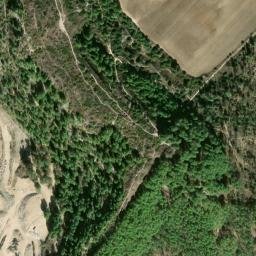 Satellite imagery of survey_point, DZ